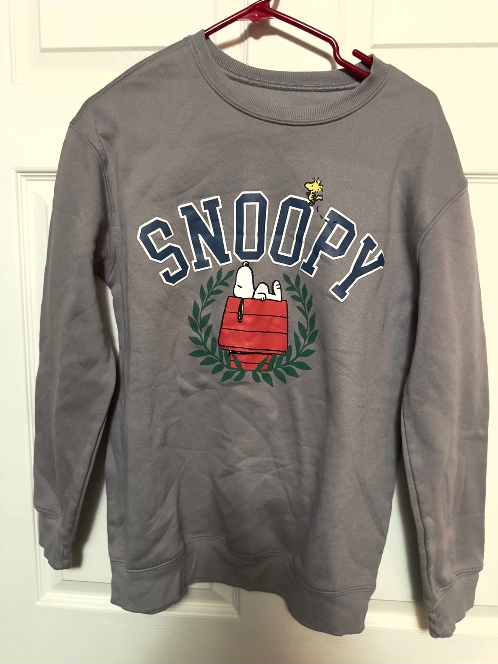 Peanuts Gray Crewneck Sweatshirt with Snoopy Graphic